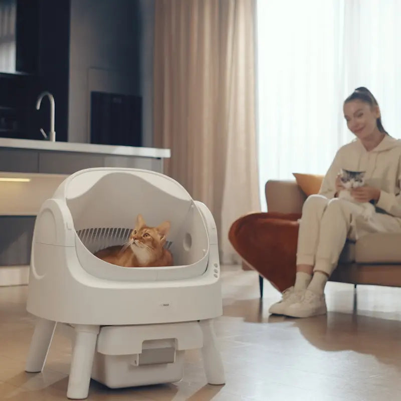 PetPivot AutoScooper 12 Lite Open-Top Automatic Self-Cleaning Cat Litter Box, Easy-Entry Front Step, Triple Safety Protection, No App Required,SohoChic