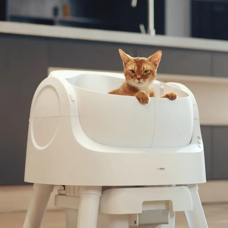 PetPivot AutoScooper 12 Lite Open-Top Automatic Self-Cleaning Cat Litter Box, Easy-Entry Front Step, Triple Safety Protection, No App Required,SohoChic